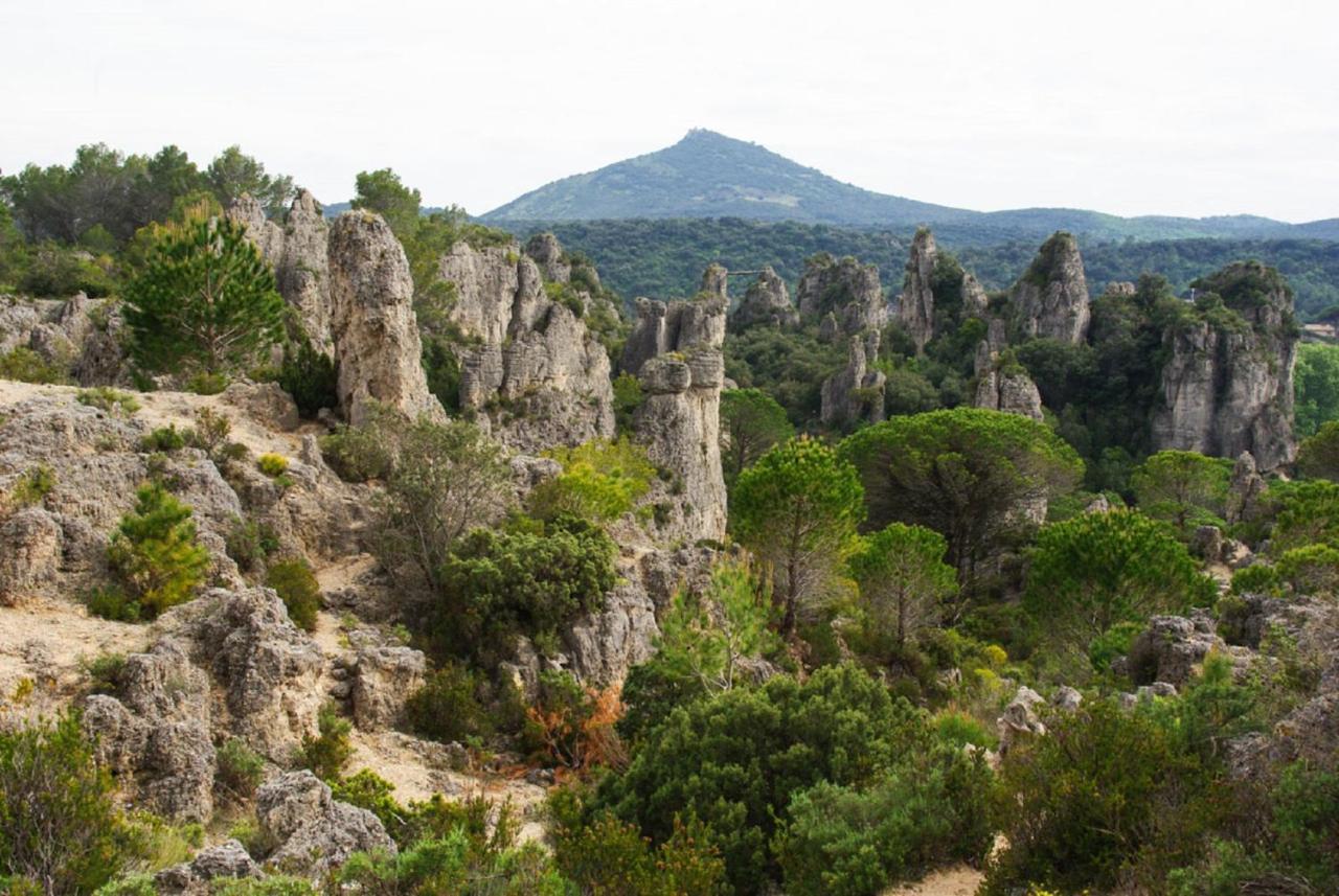 "Belle Etape"-Meuble De Tourisme 3 Etoiles -Residence "Les Logis De Beziers"-Garage Optionnel-Coeur De Ville-Plages A 16Km ! エクステリア 写真